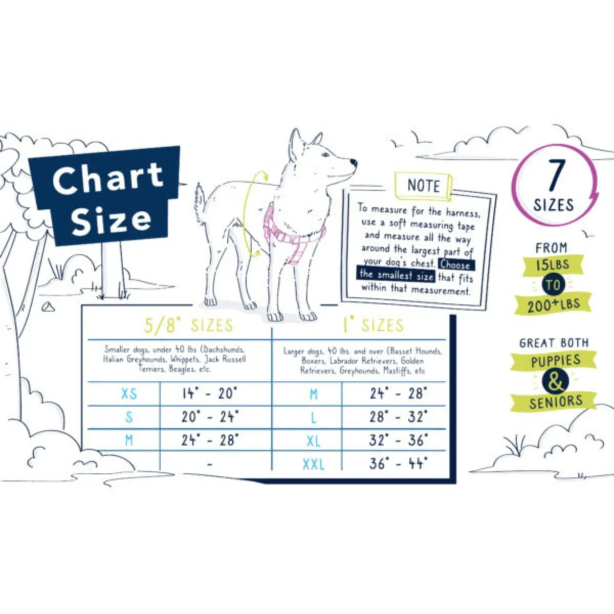 2 Hounds Design Freedom No-Pull Dog Roy G BIV L 28"32""