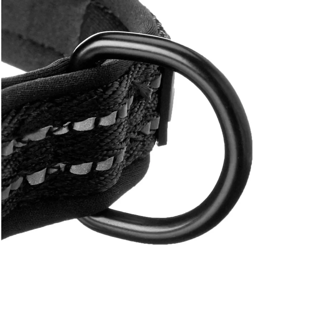 Alcott Black Martingale Dog Collar