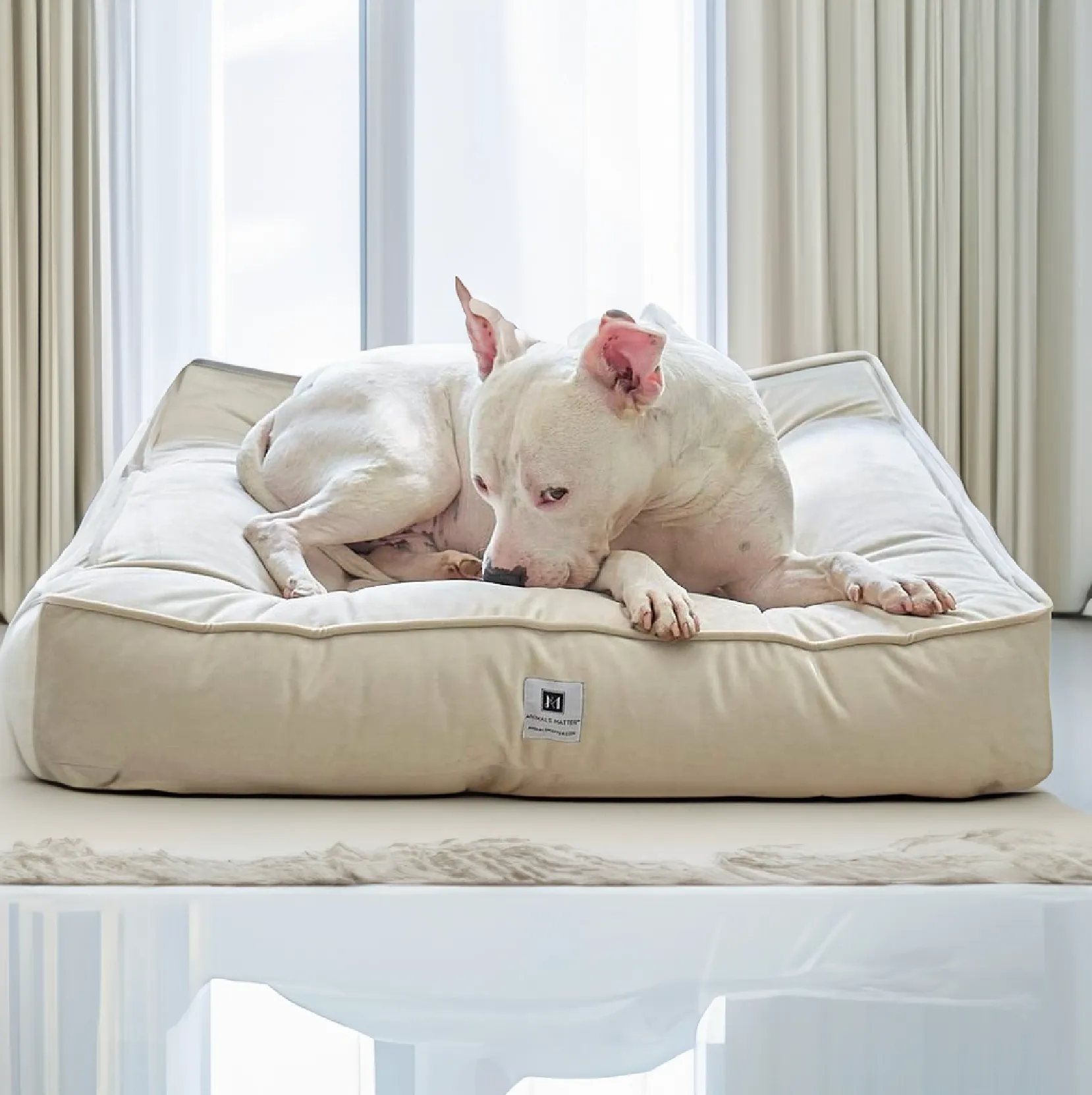 Ali Jewel® Ortho Square™ Companion-Pedic®  Luxury Dog Bed