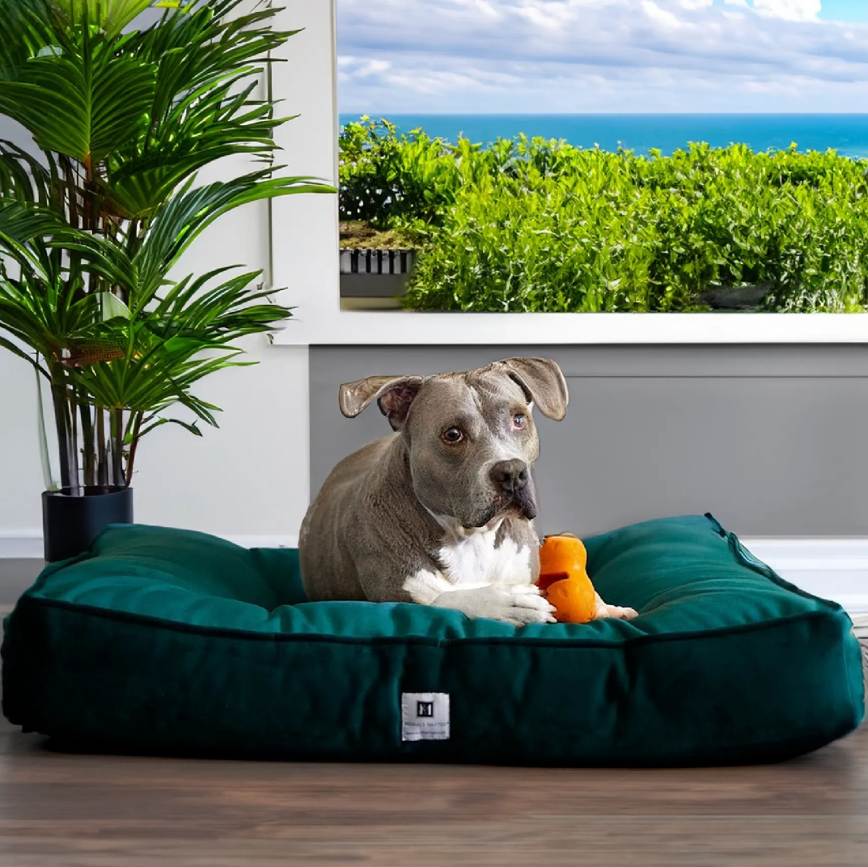 Ali Jewel® Ortho Square™ Companion-Pedic®  Luxury Dog Bed