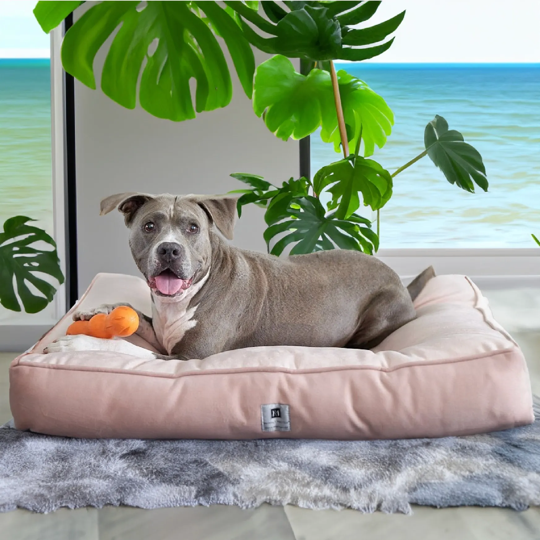 Ali Jewel® Ortho Square™ Companion-Pedic®  Luxury Dog Bed