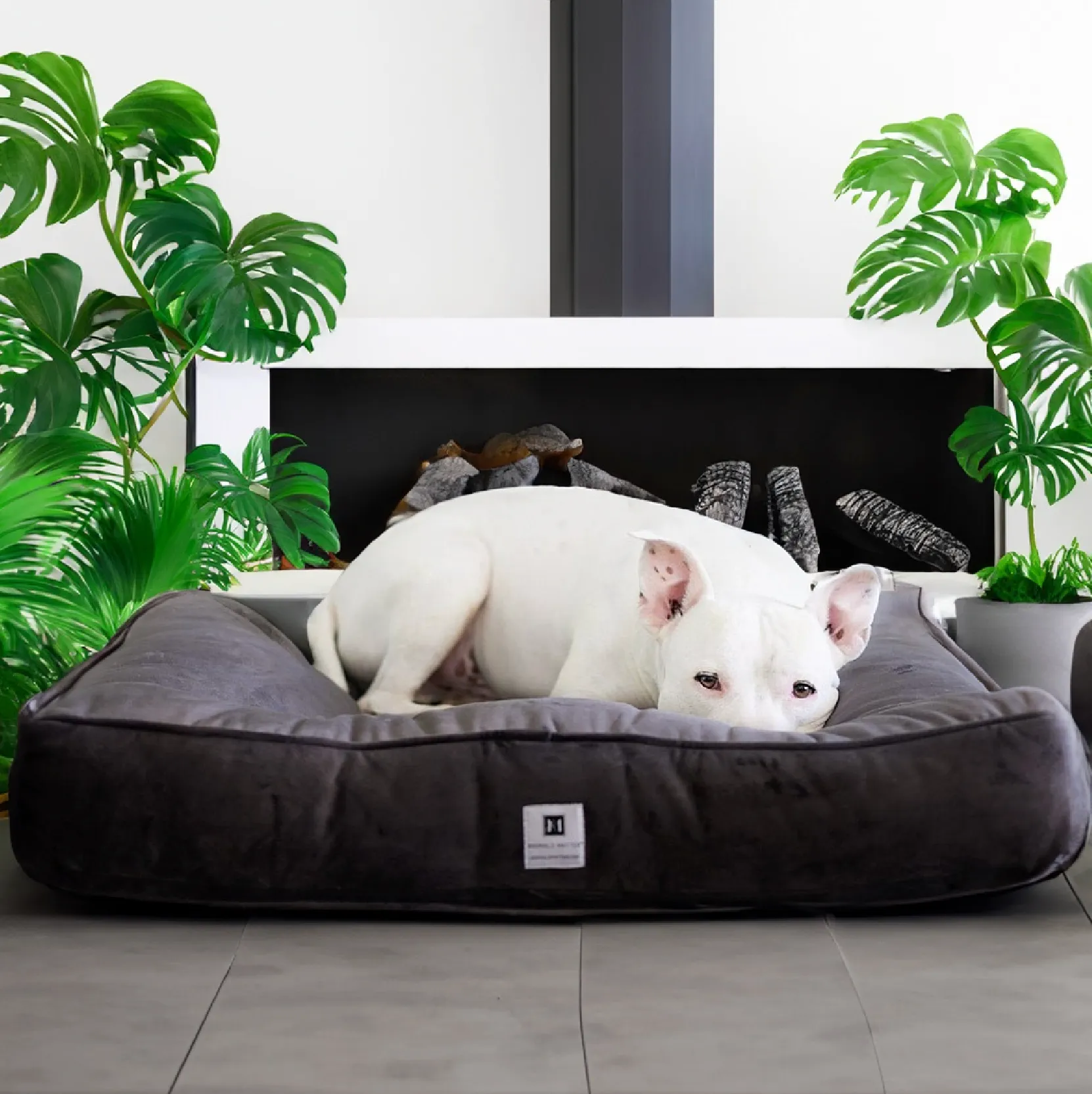 Ali Jewel® Ortho Square™ Companion-Pedic®  Luxury Dog Bed