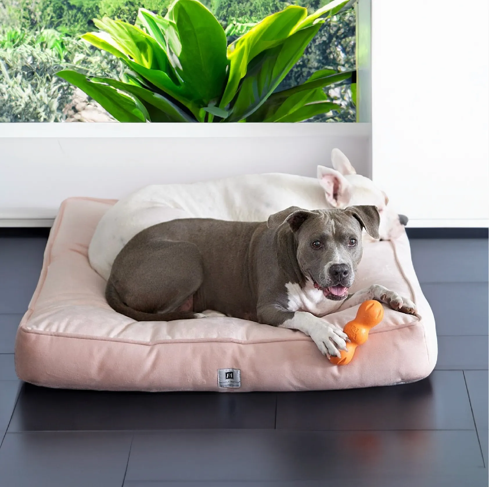 Ali Jewel® Ortho Square™ Companion-Pedic®  Luxury Dog Bed
