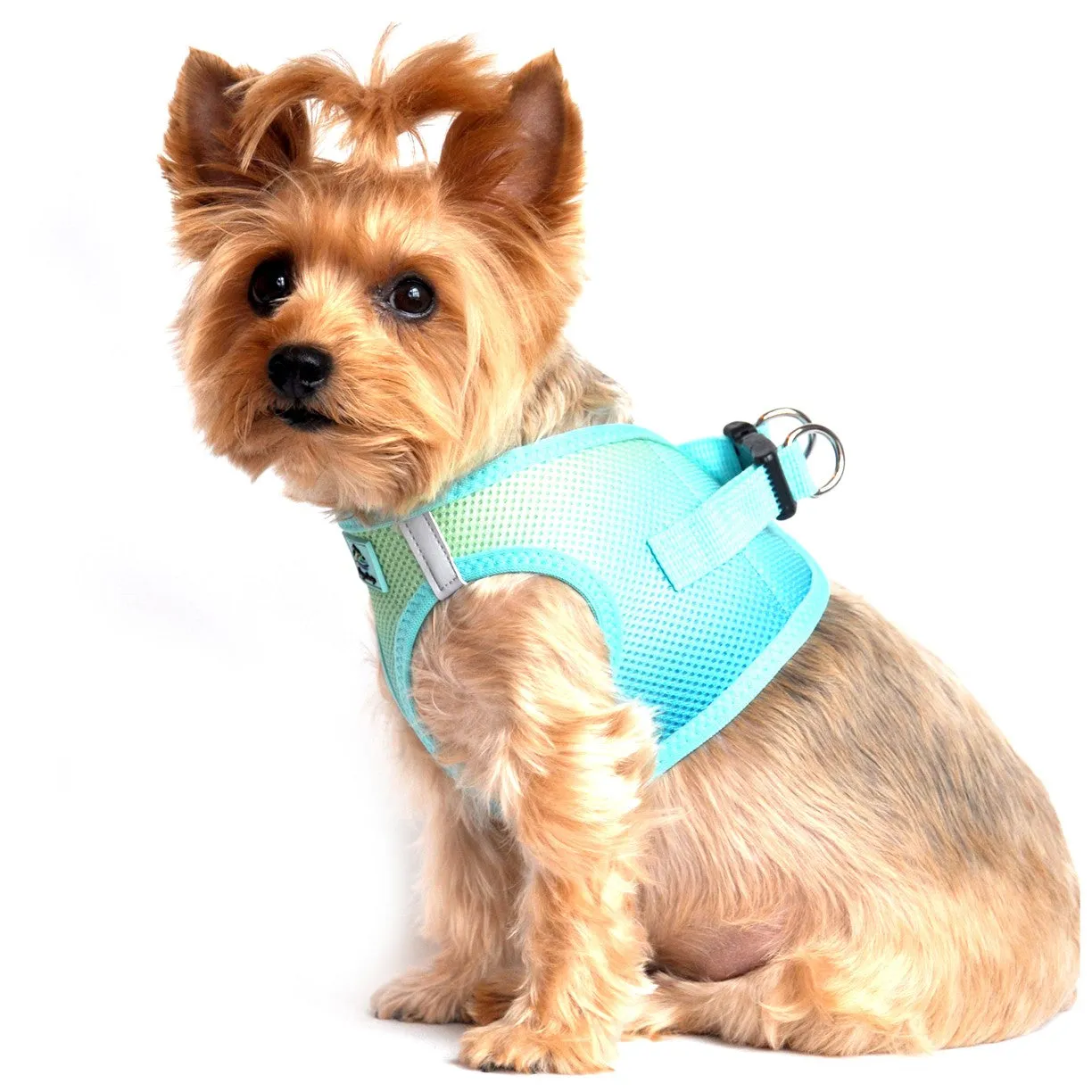 American River Choke-Free No-Pull Harness | Ombre
