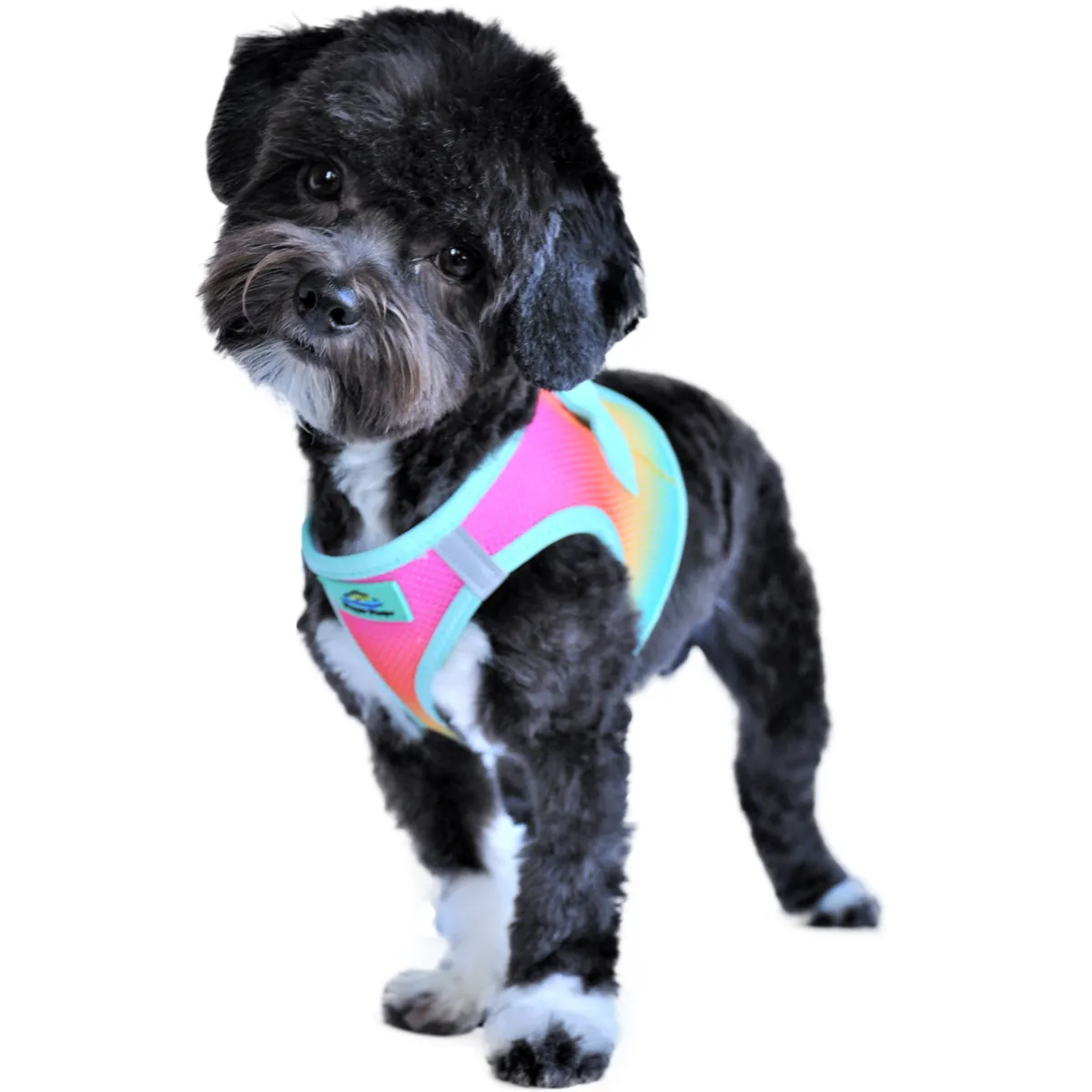 American River Choke-Free No-Pull Harness | Ombre