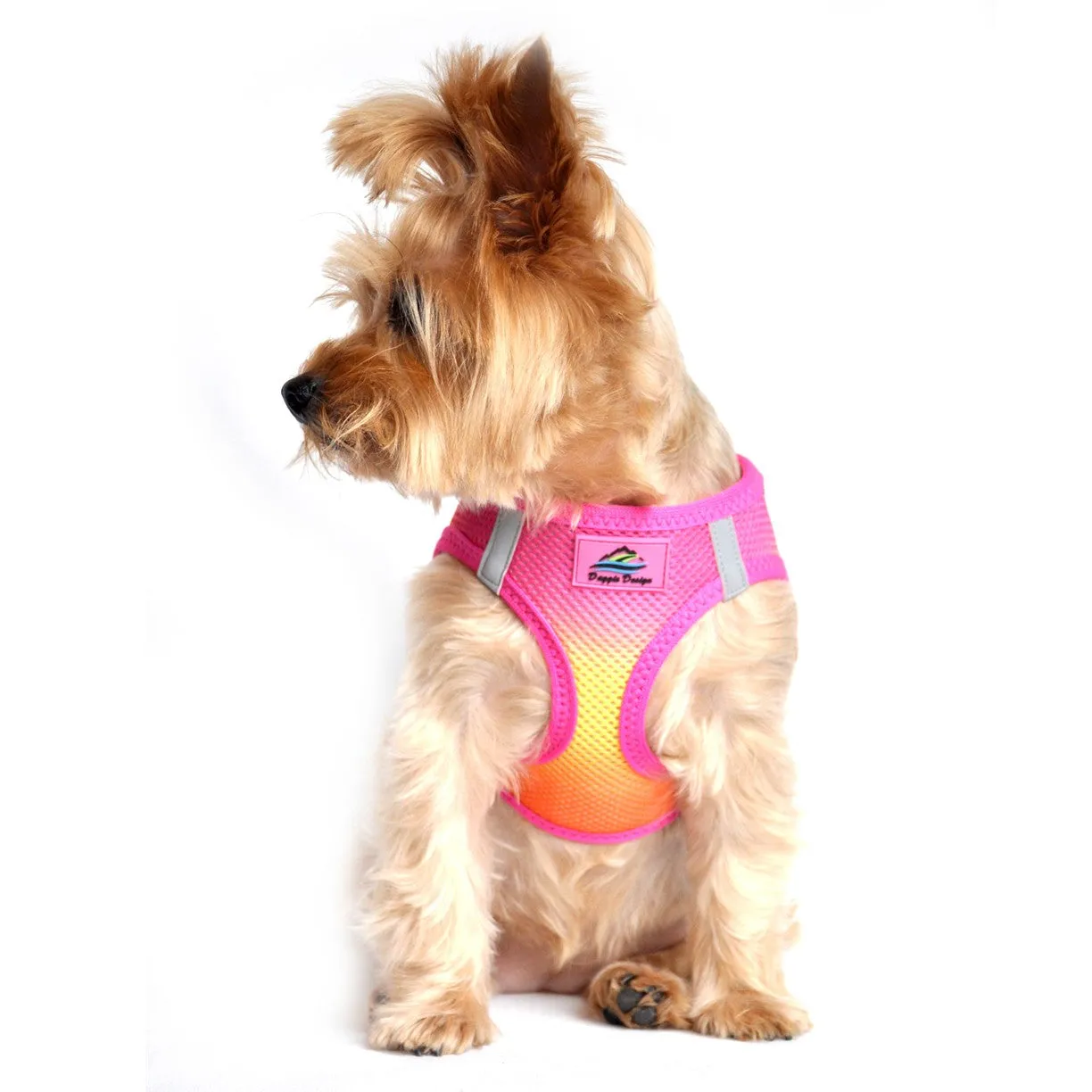 American River Choke-Free No-Pull Harness | Ombre
