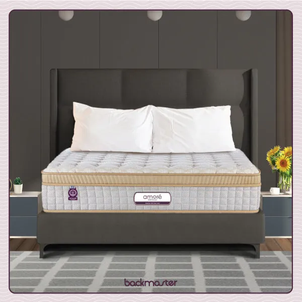Back Master Mattress