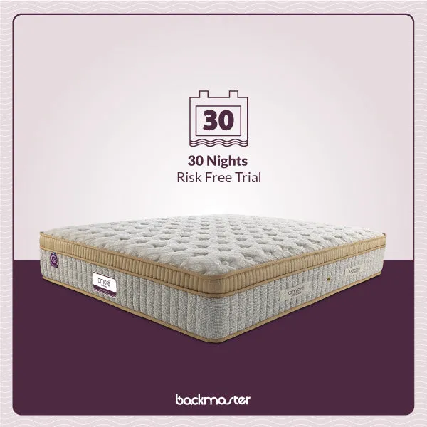 Back Master Mattress