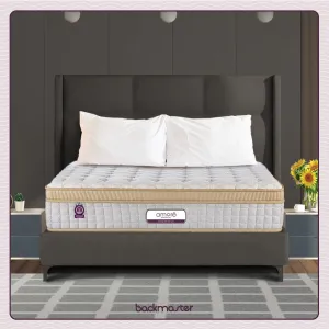 Back Master Mattress