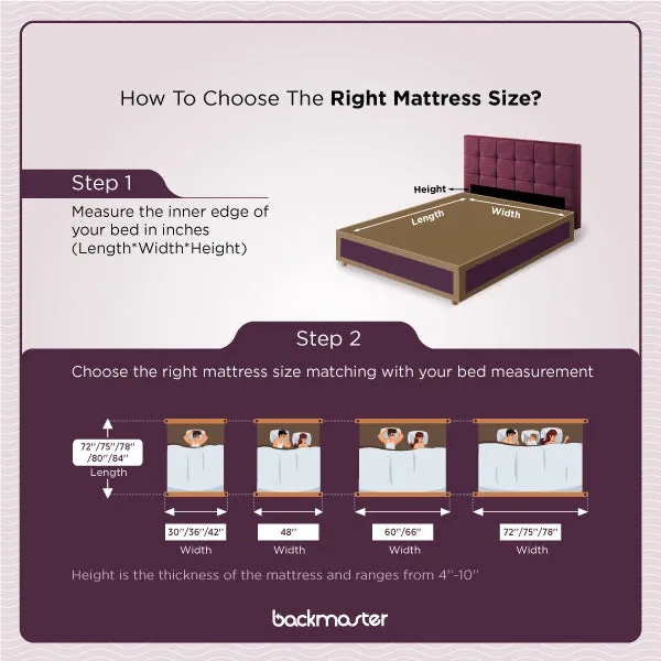 Back Master Mattress