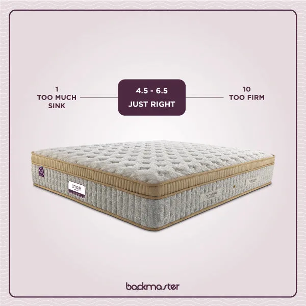 Back Master Mattress