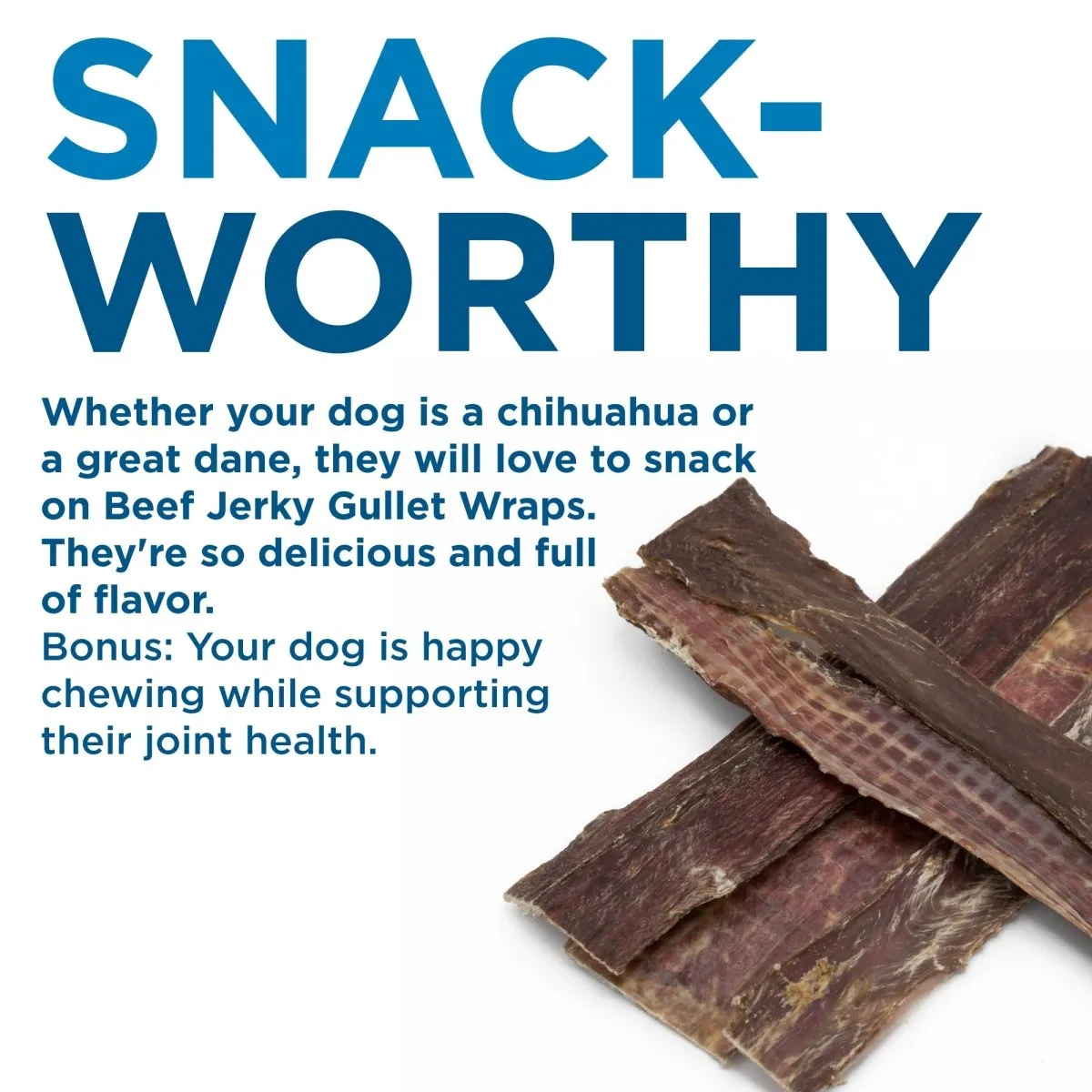 BEEF JERKY STRIPS FOR DOGS (25 PACK, 12 INCH)