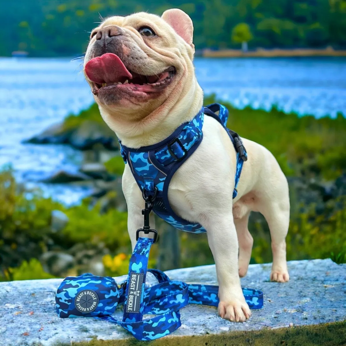 Blue Camo No Pull Dog Harness
