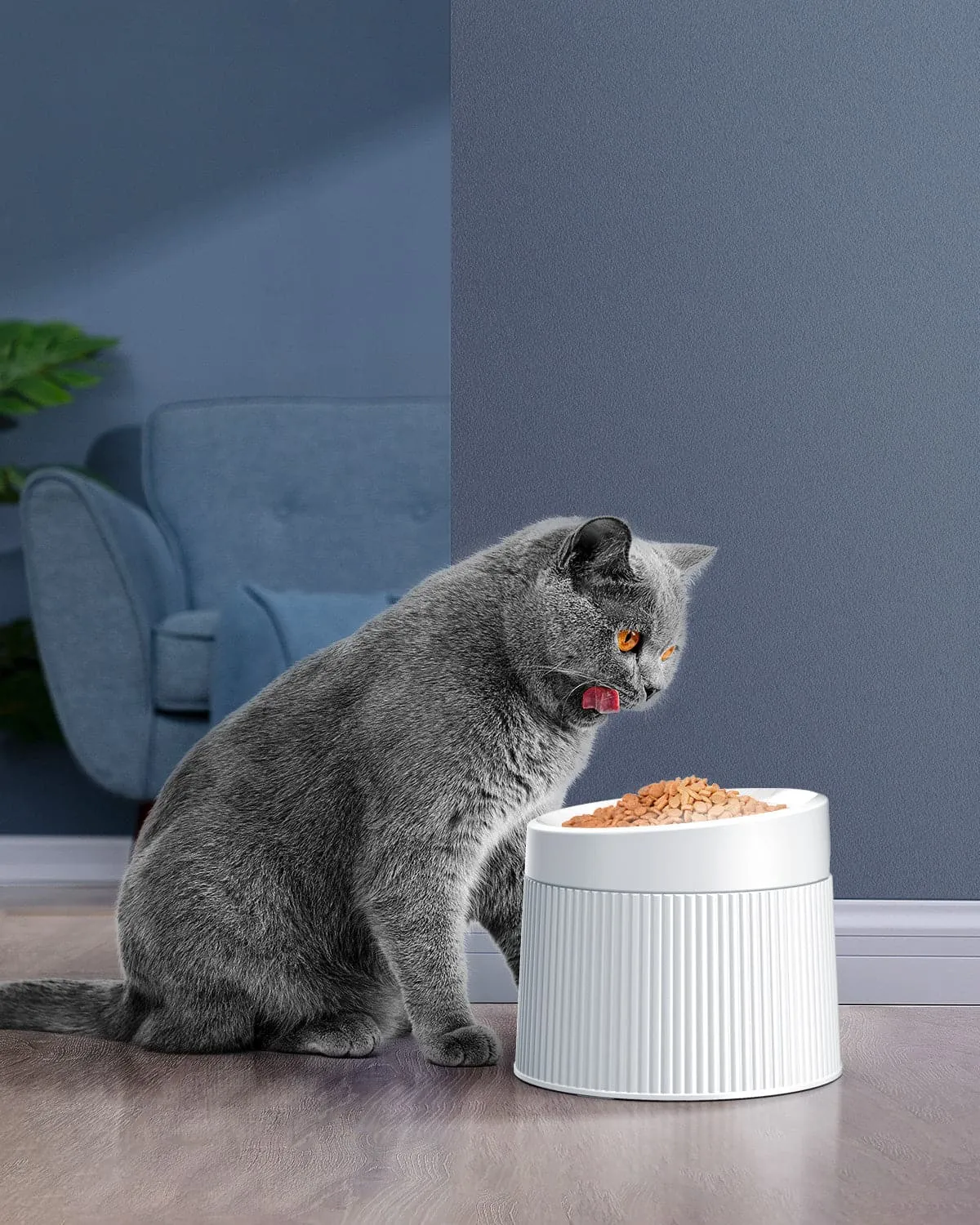 [BOGO] Stainless Steel Pet Water Fountain & Free Cat Bowl