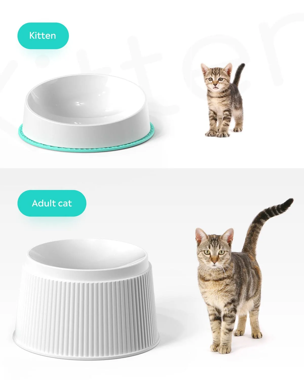 [BOGO] Stainless Steel Pet Water Fountain & Free Cat Bowl