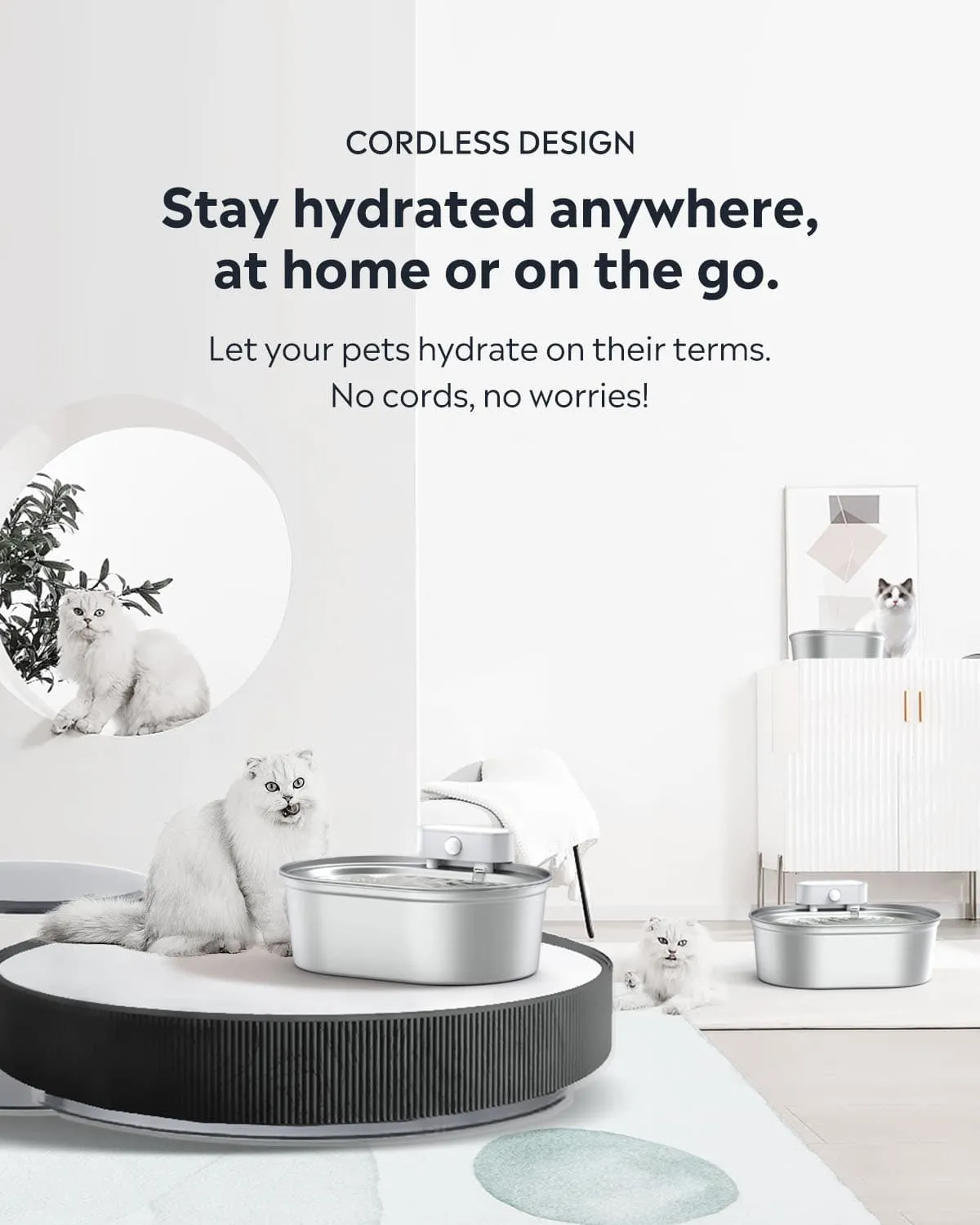 [BOGO] Stainless Steel Pet Water Fountain & Free Cat Bowl