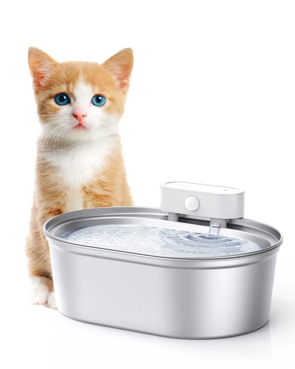 [BOGO] Stainless Steel Pet Water Fountain & Free Cat Bowl