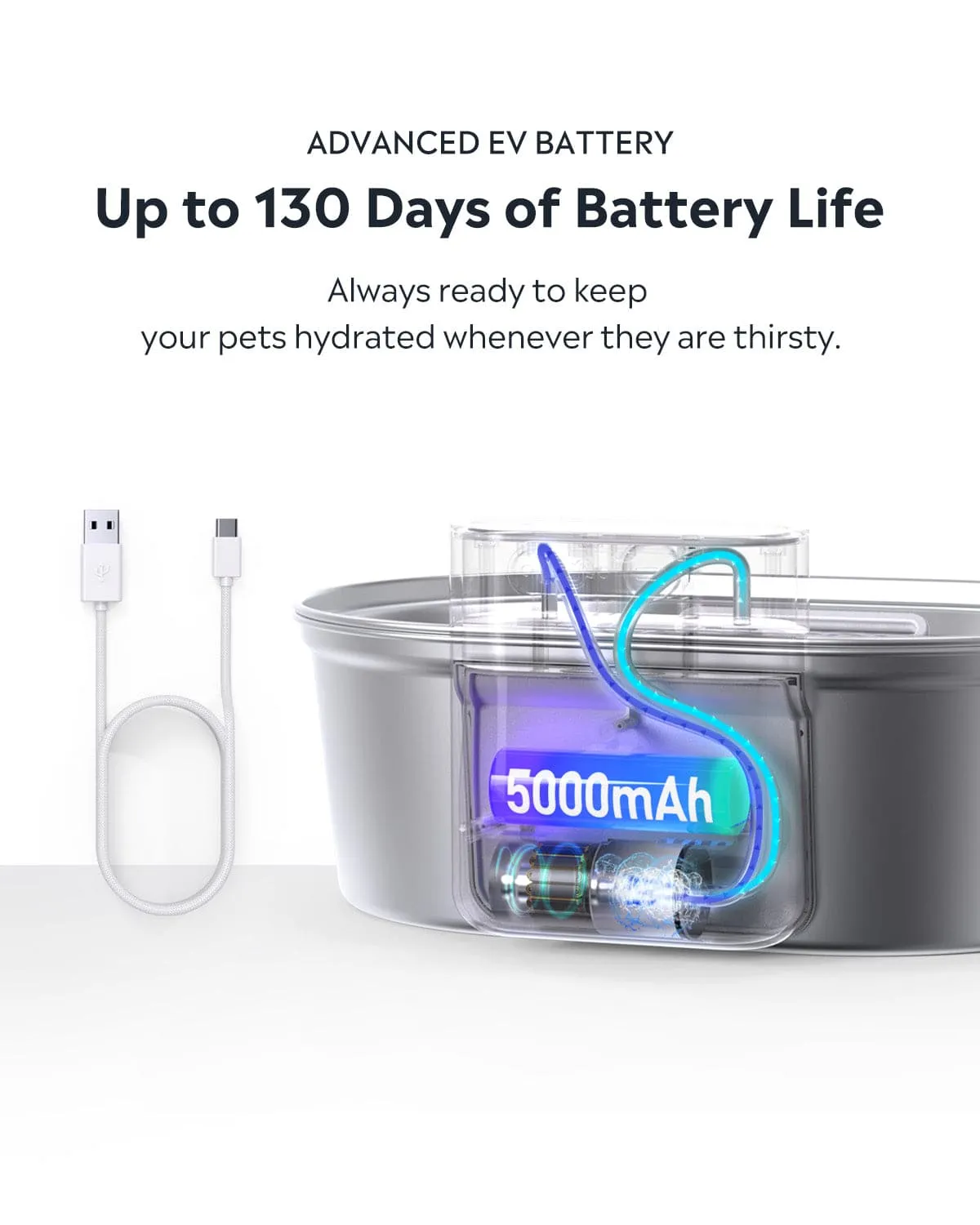 [BOGO] Stainless Steel Pet Water Fountain & Free Cat Bowl