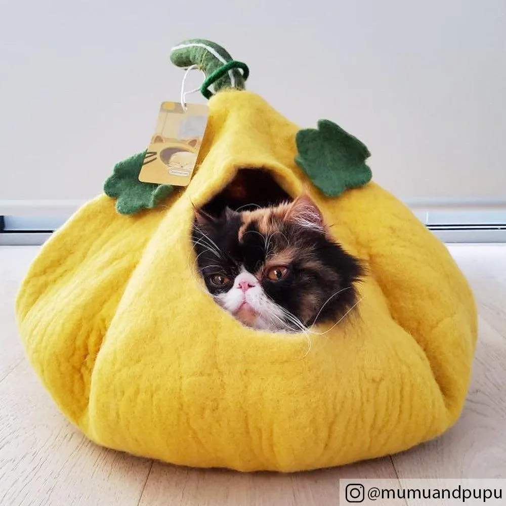 Cat Cave - Pumpkin