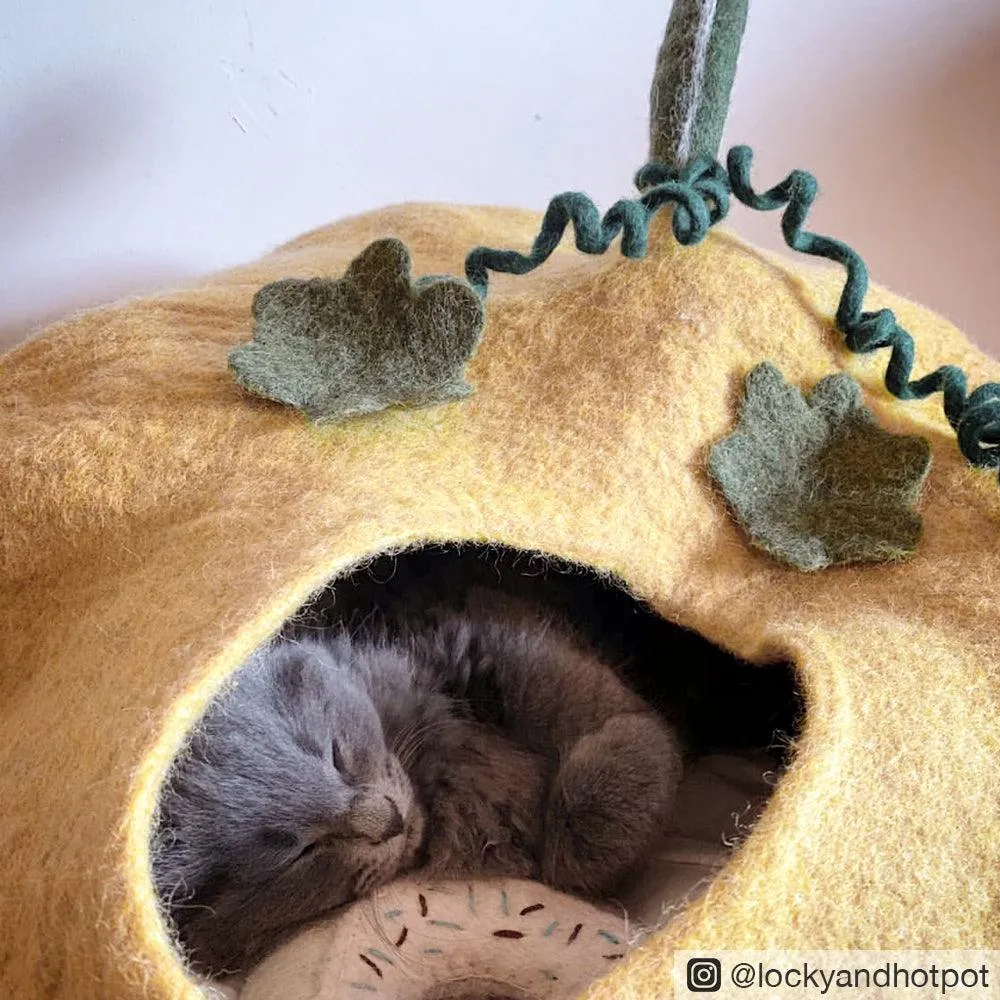 Cat Cave - Pumpkin