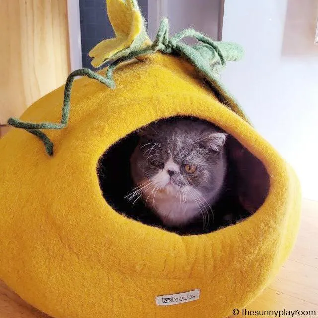 Cat Cave - Pumpkin
