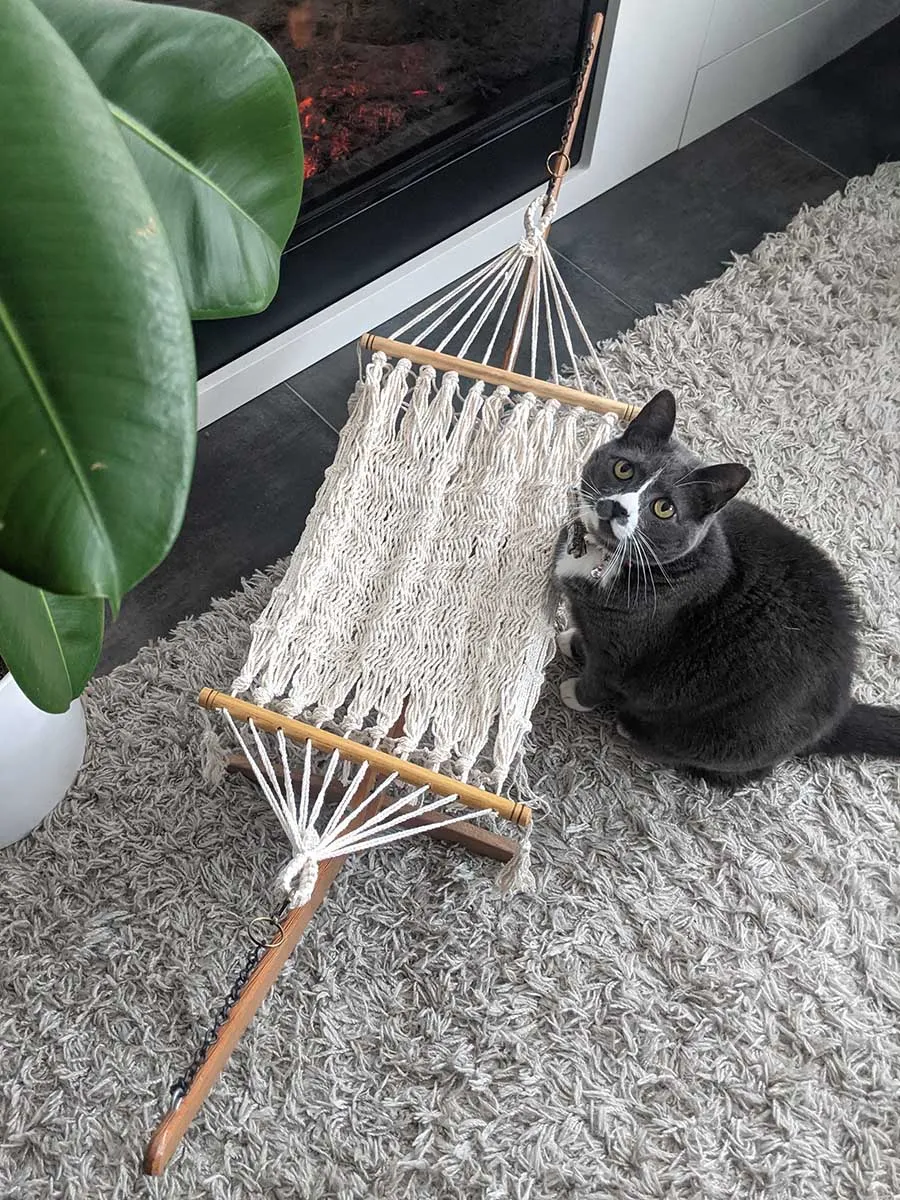 Cat Hammock