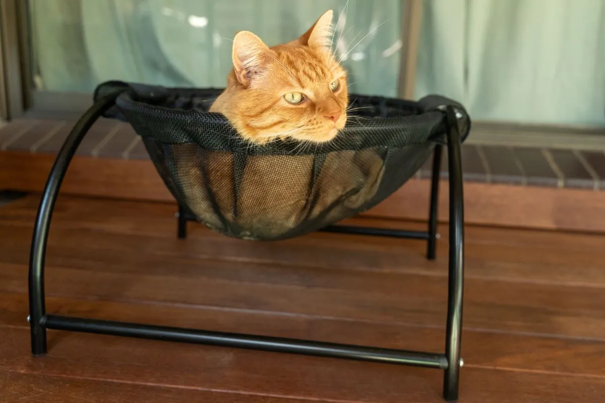 Catnets Skywalks Floor Hammock