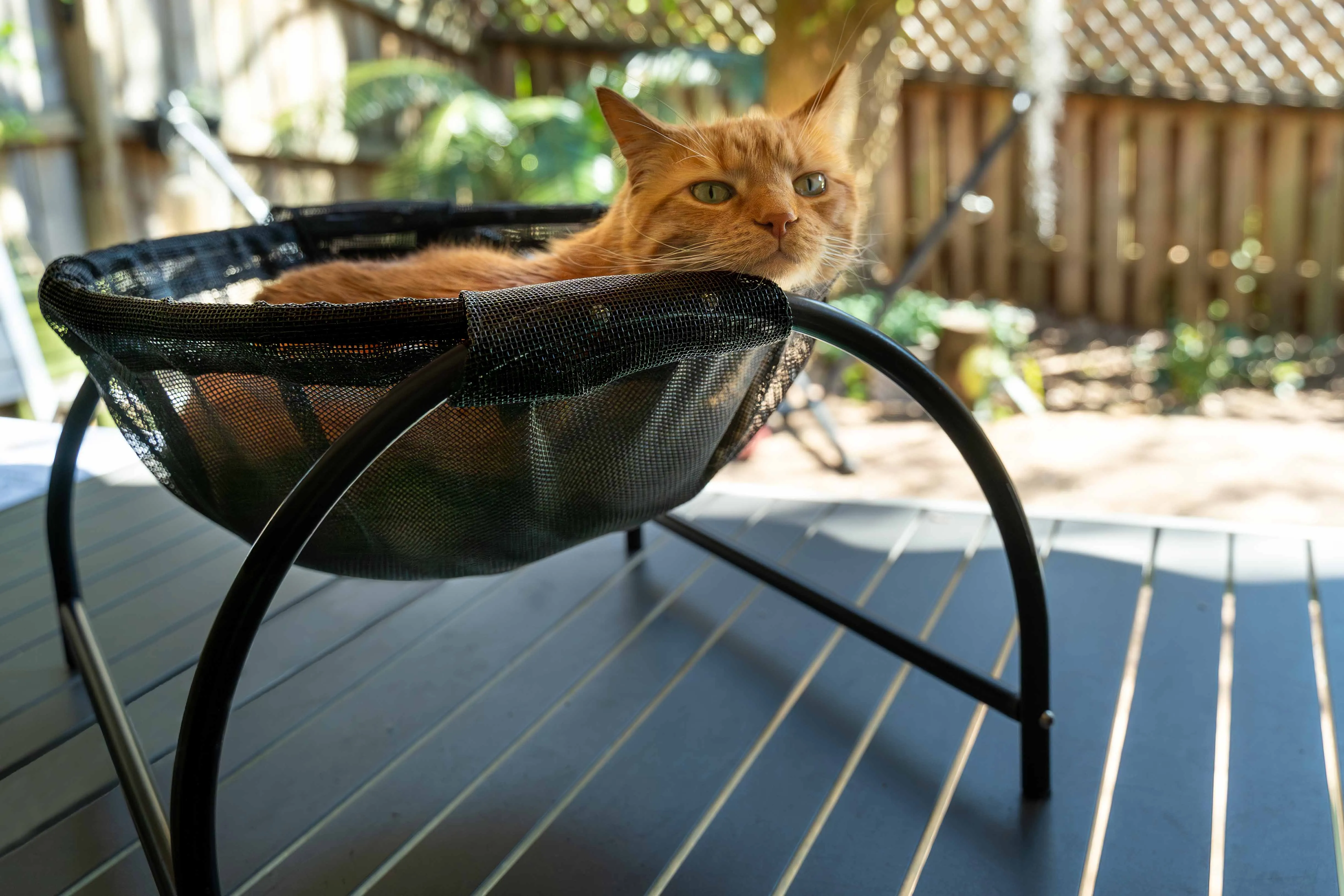 Catnets Skywalks Floor Hammock