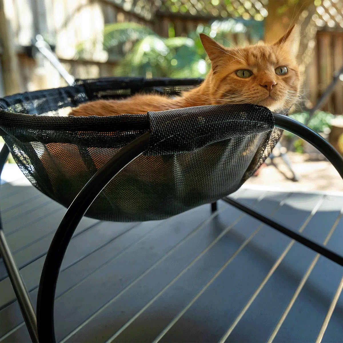 Catnets Skywalks Floor Hammock