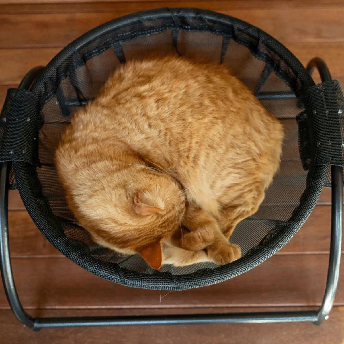 Catnets Skywalks Floor Hammock