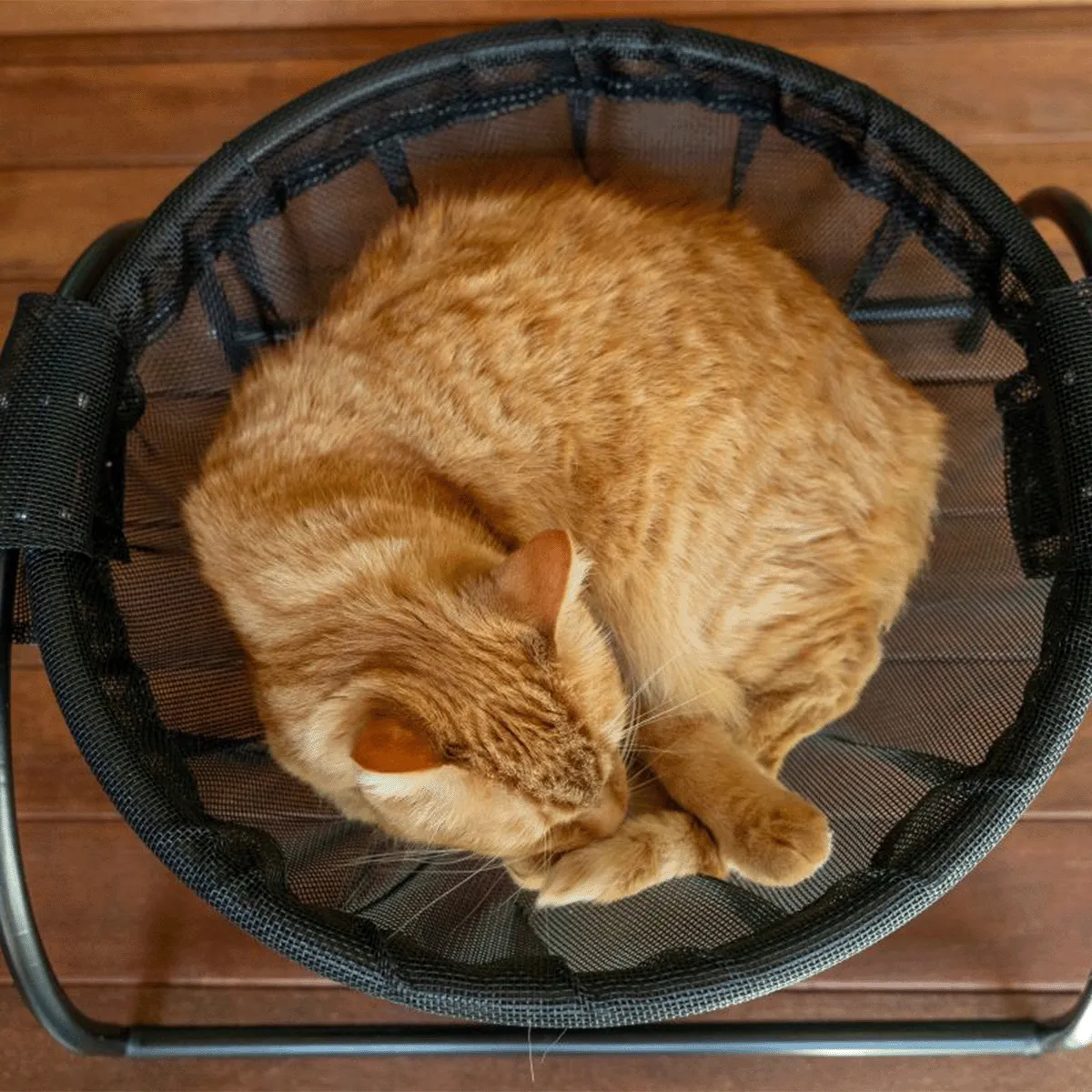 Catnets Skywalks Floor Hammock
