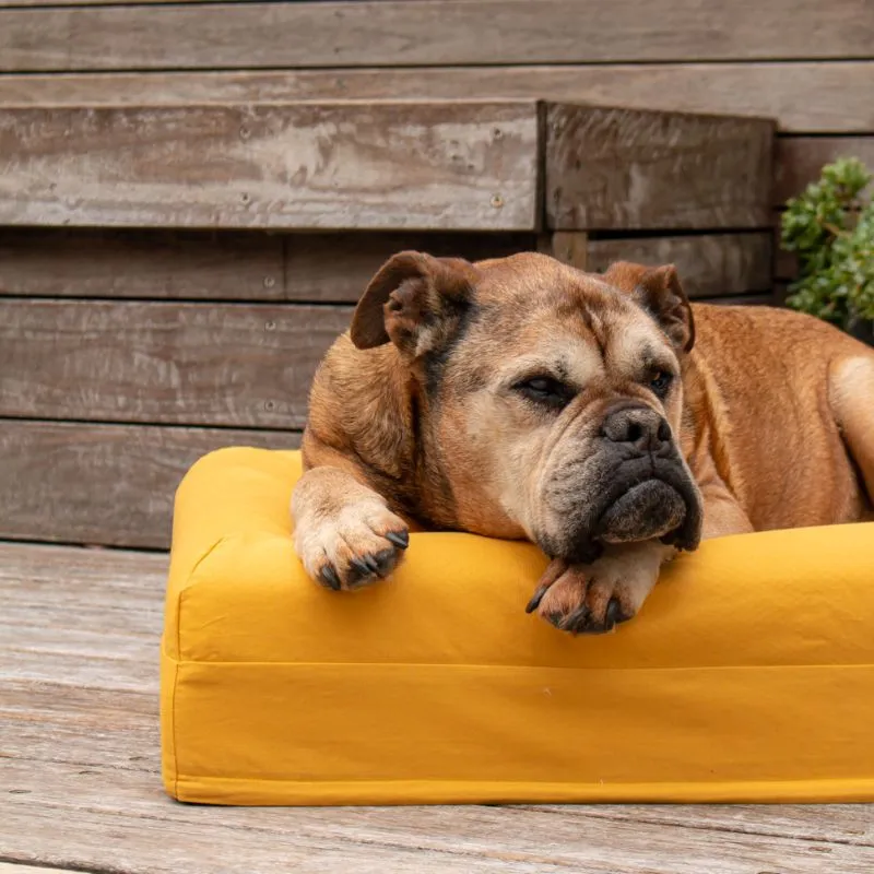 Cooling Dog Bed - Eucalyptus Memory Foam