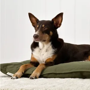 Cotton Canvas Futon