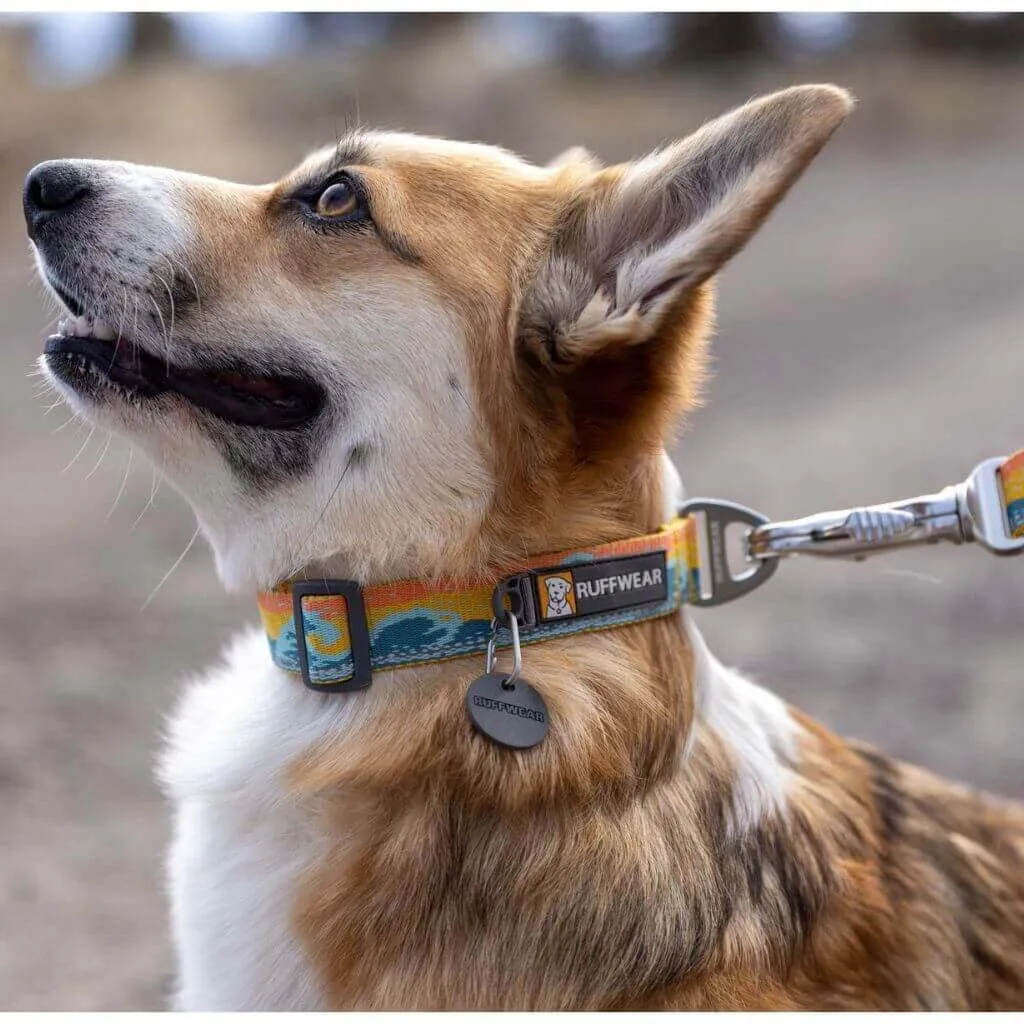 Crag Dog Collar - Everyday Collar with Reflective Trim