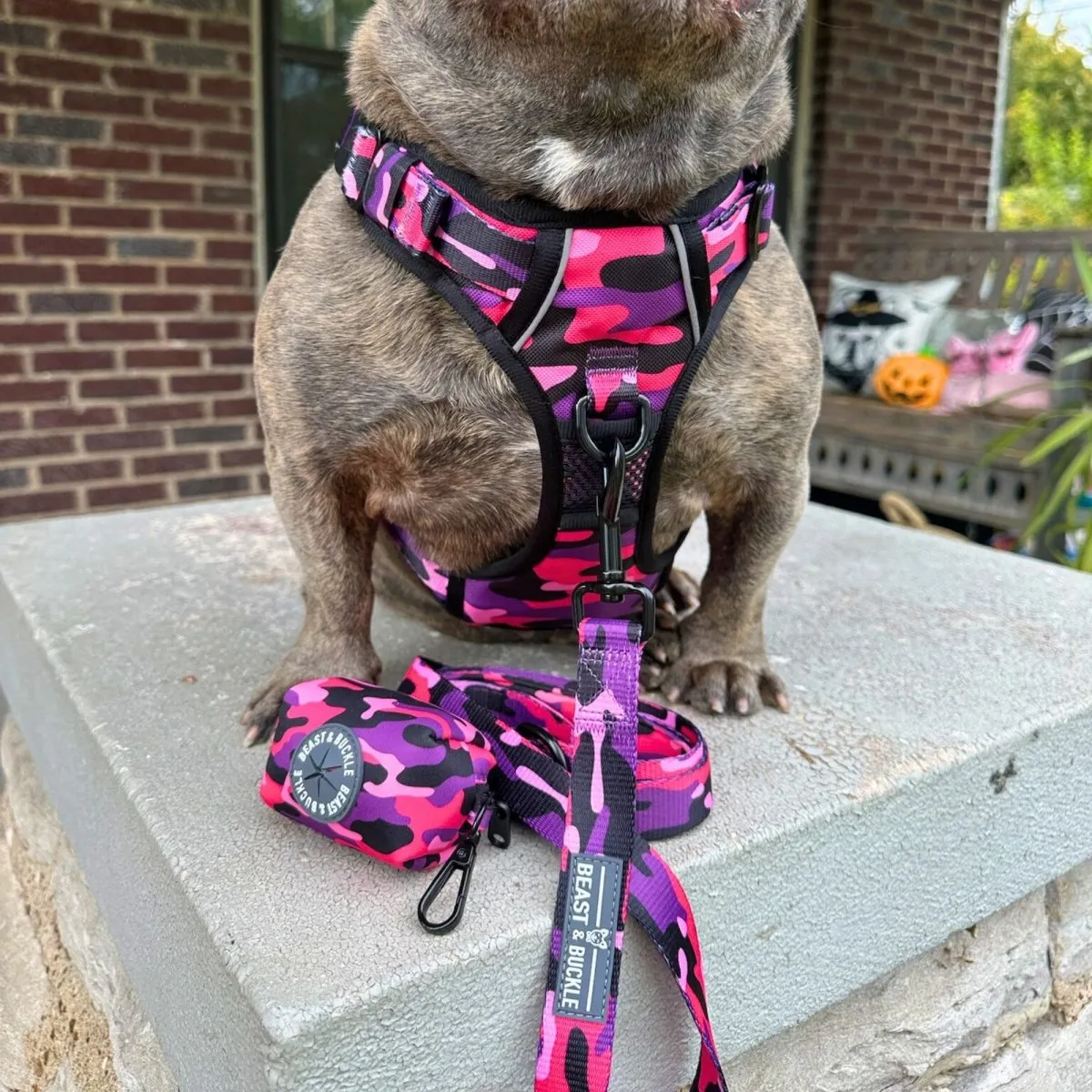 Cute Camo No Pull Dog Harness