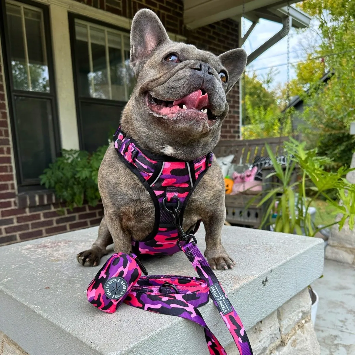 Cute Camo No Pull Dog Harness