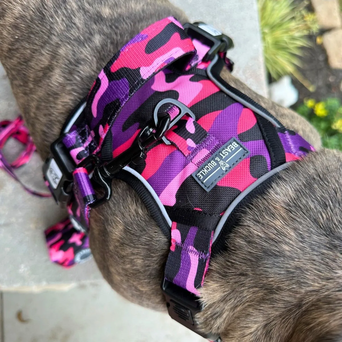 Cute Camo No Pull Dog Harness