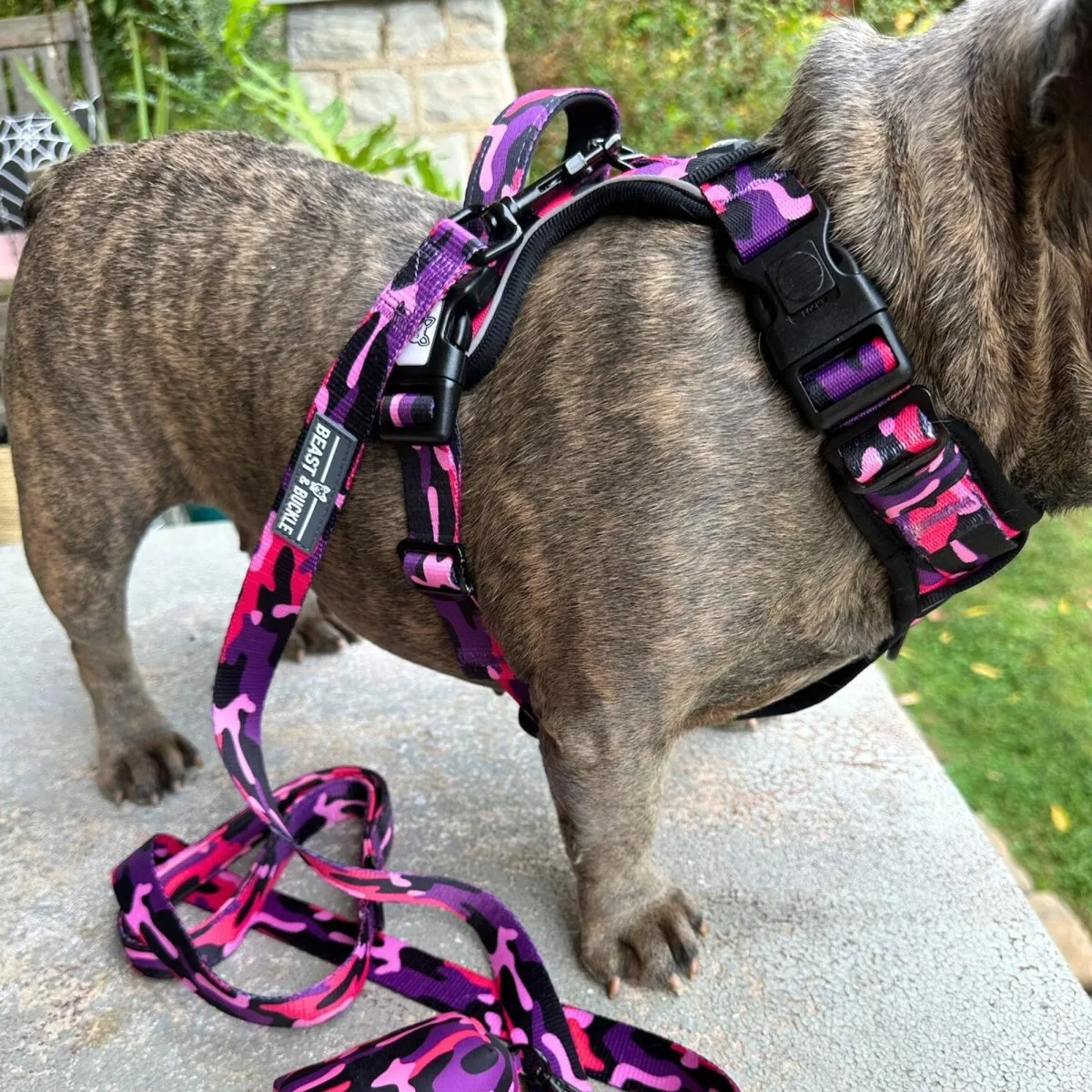 Cute Camo No Pull Dog Harness