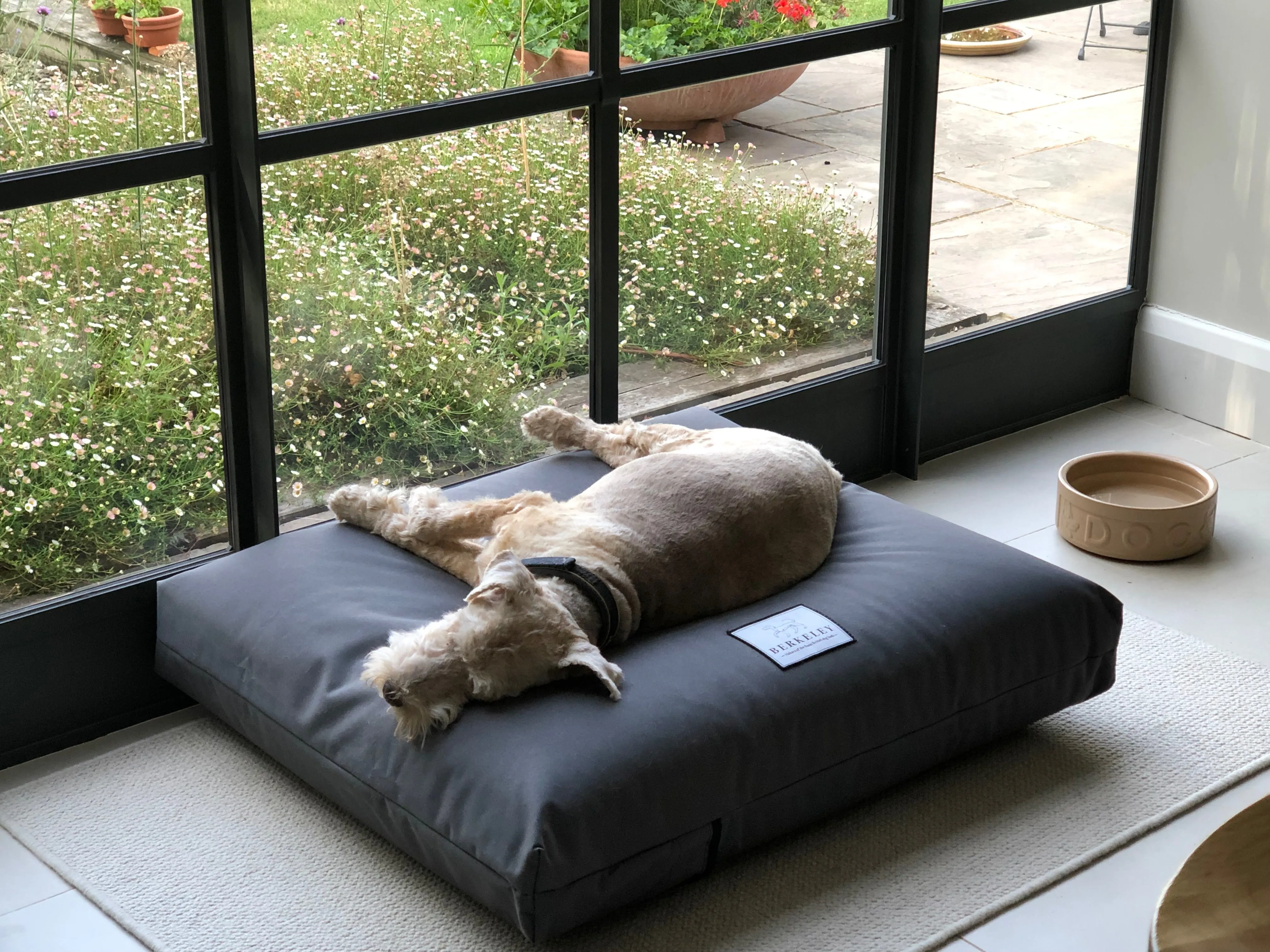 Extra Large Orthopaedic Dog Beds