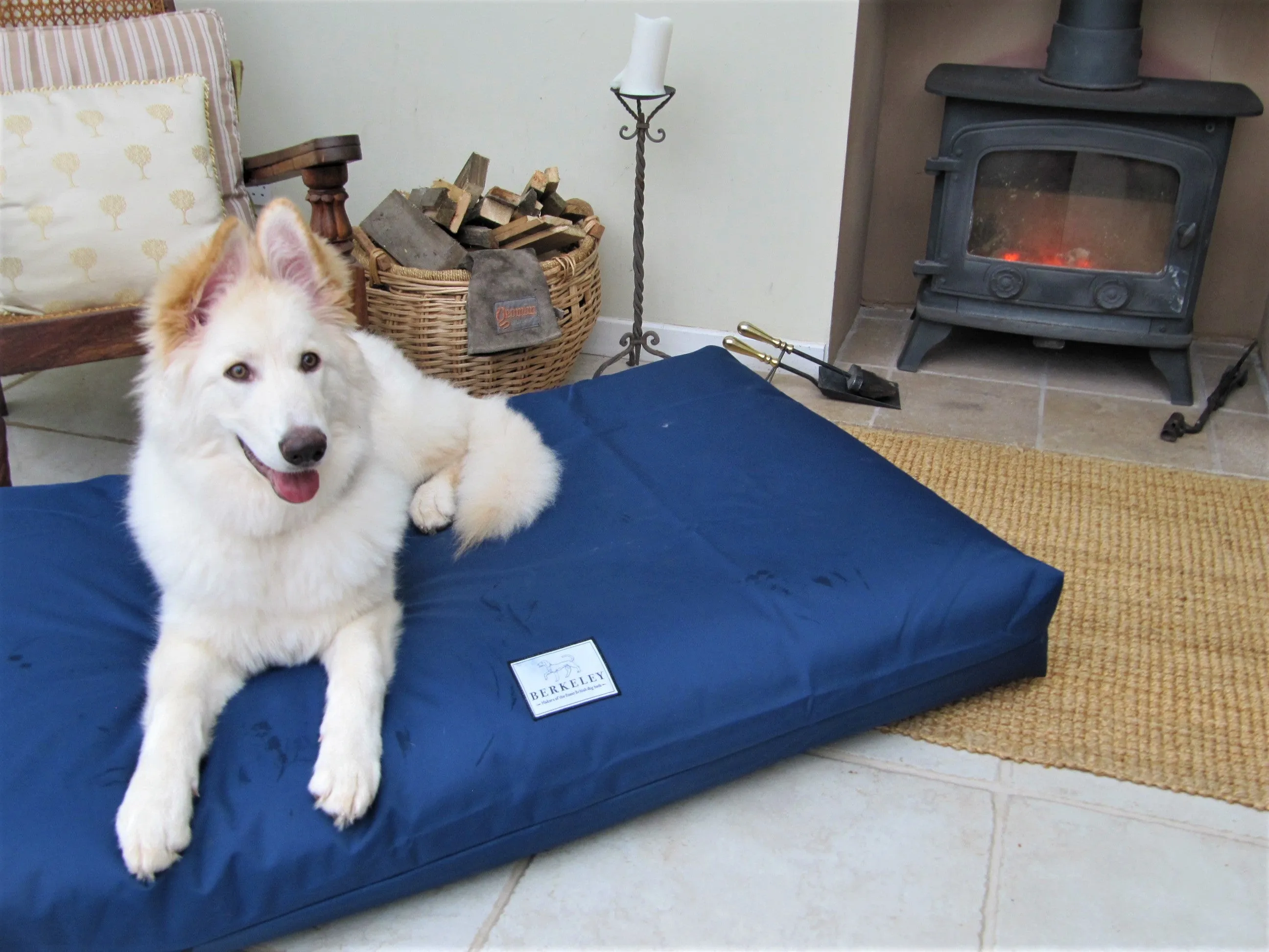 Extra Large Orthopaedic Dog Beds