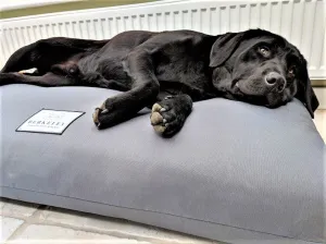 Extra Large Orthopaedic Dog Beds