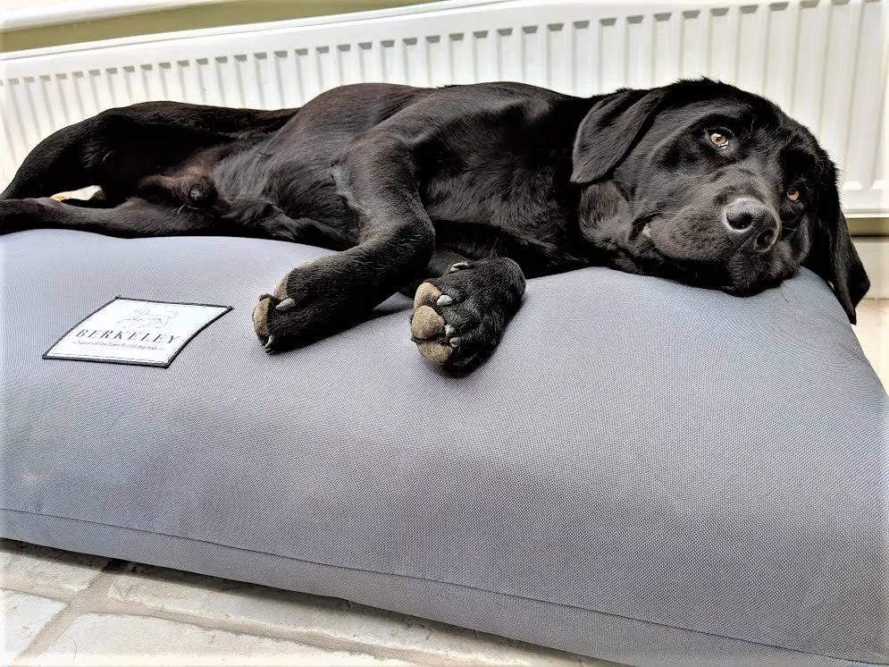 Extra Large Orthopaedic Dog Beds
