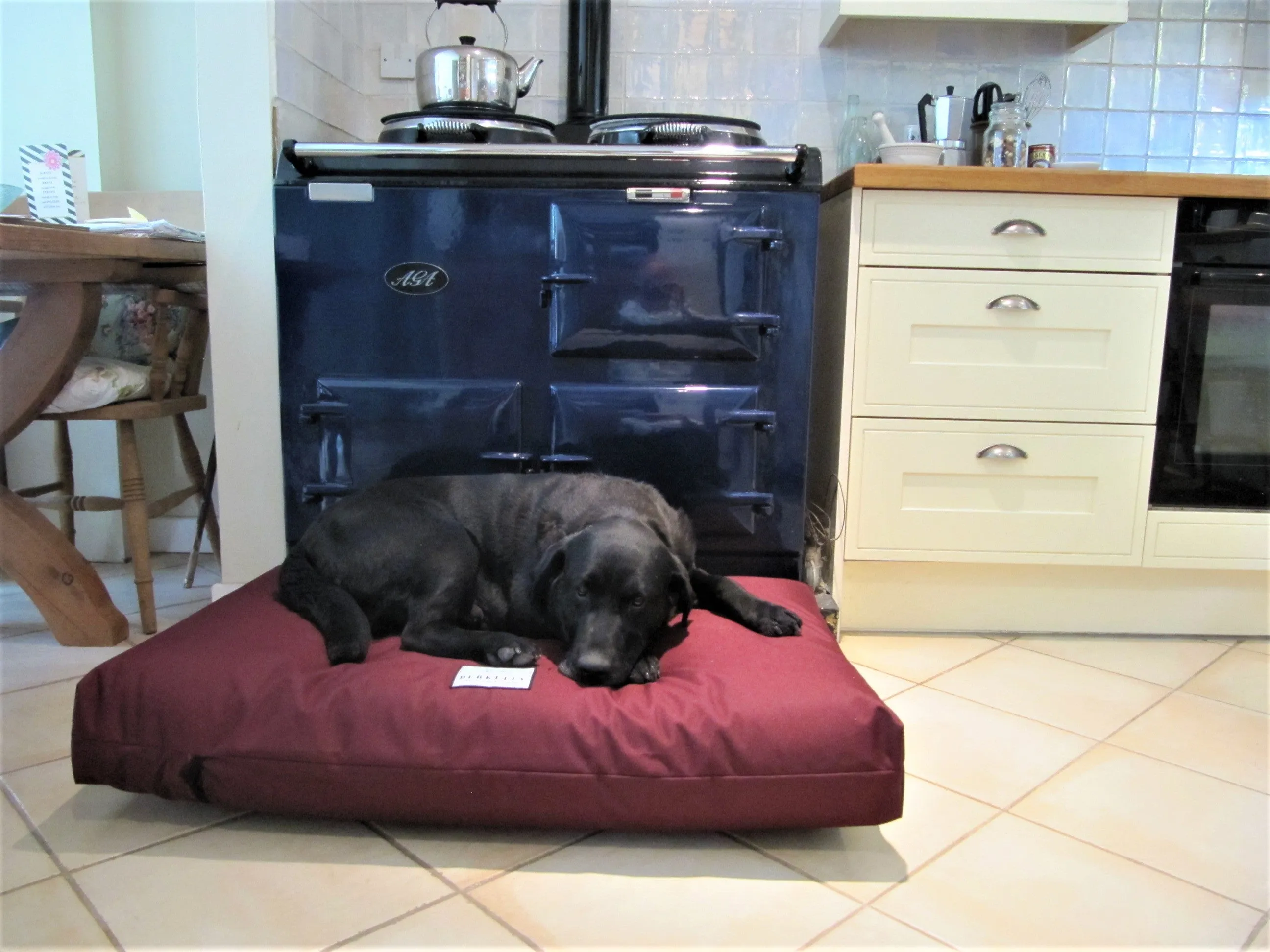 Extra Large Orthopaedic Dog Beds