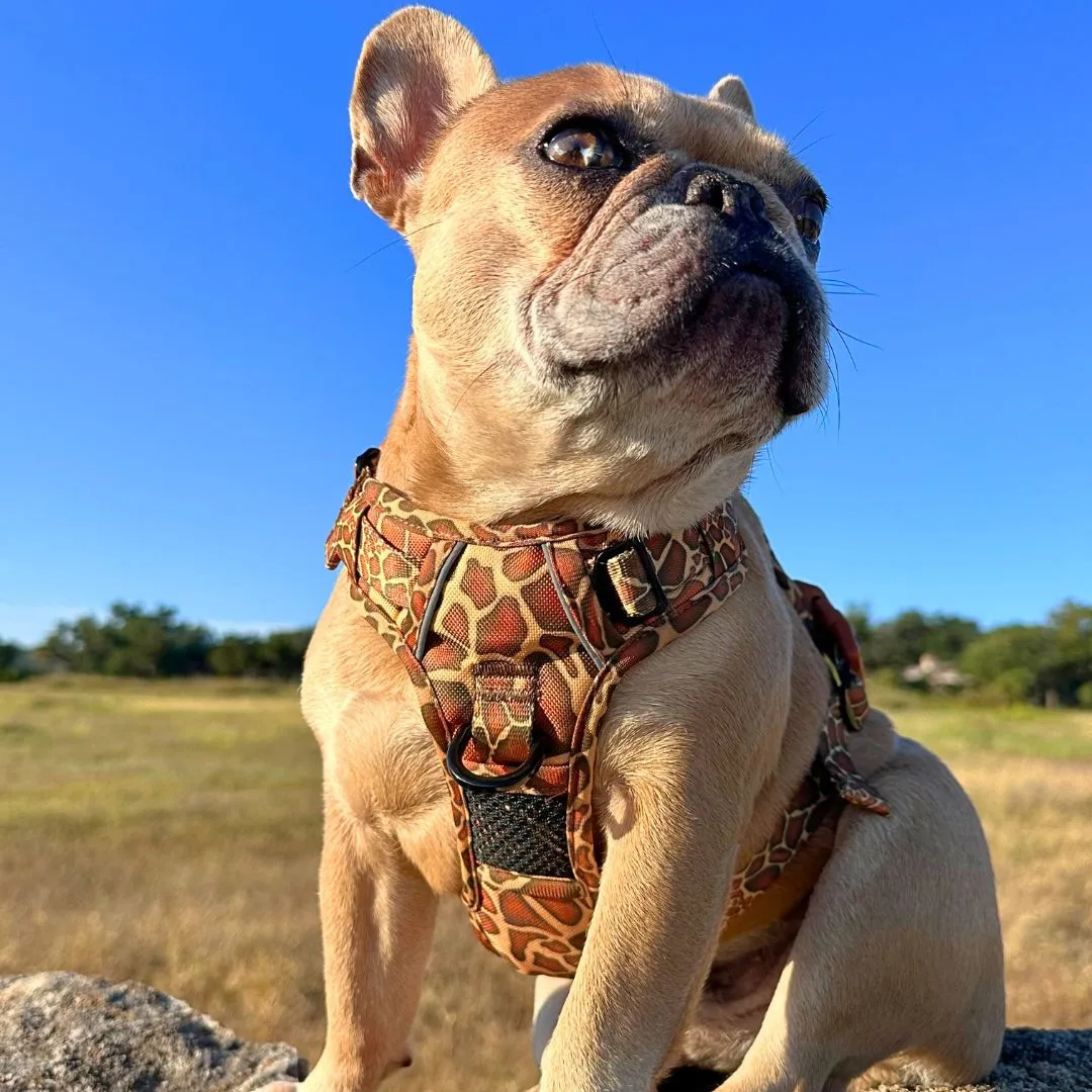 Giraffe No Pull Dog Harness - CLEARANCE