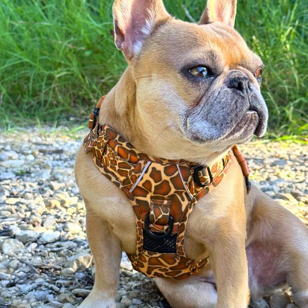 Giraffe No Pull Dog Harness - CLEARANCE