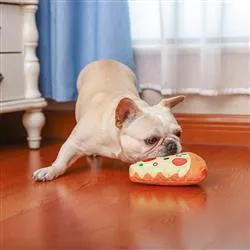 Hugsmart Pizza Plush Toy