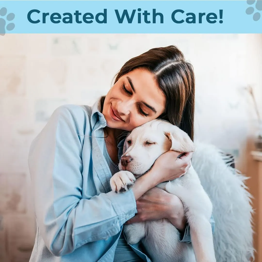 Kuber Industries Dog & Cat Bed|Super Soft Plush Top Pet Bed|Oxford Cloth Polyester Filling|Machine Washable Dog Bed|Rectangular Cat Bed with Rise-Edge Pillow|QY036B-M|Sky Blue (Pack of 5)