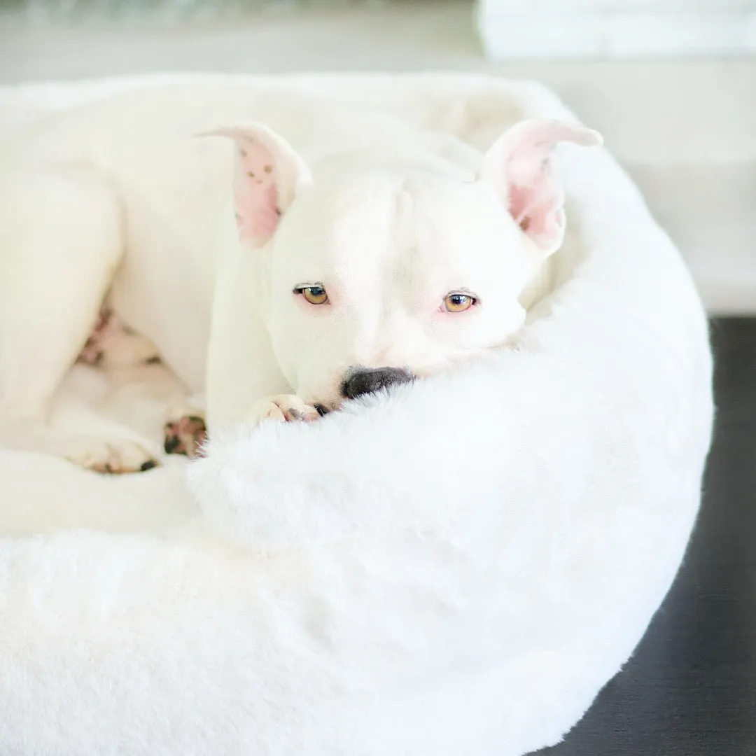 NEW: Ruby Puff® Ortho Lounger Companion-Pedic® Luxury Dog Bed