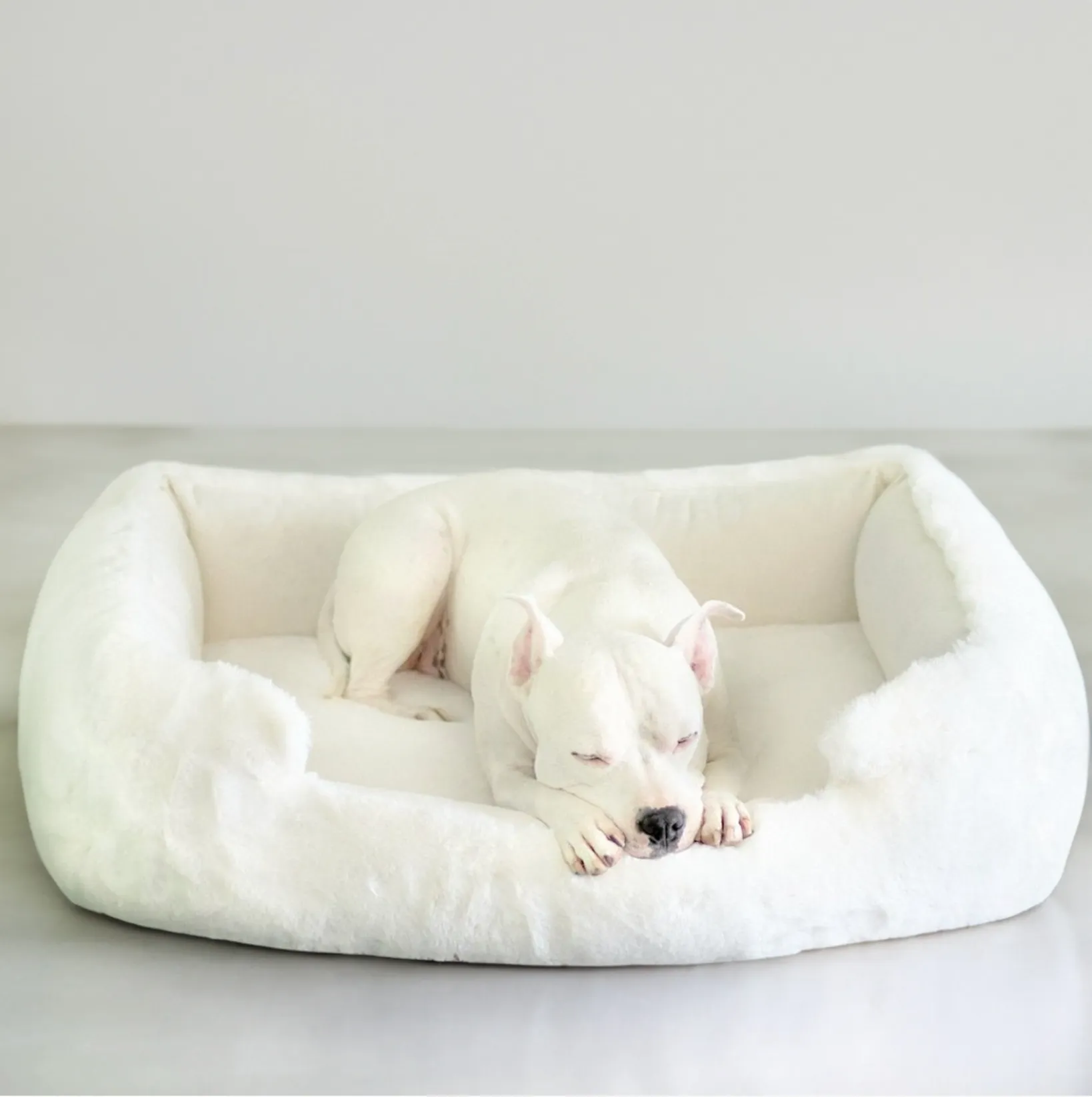 NEW: Ruby Puff® Ortho Lounger Companion-Pedic® Luxury Dog Bed