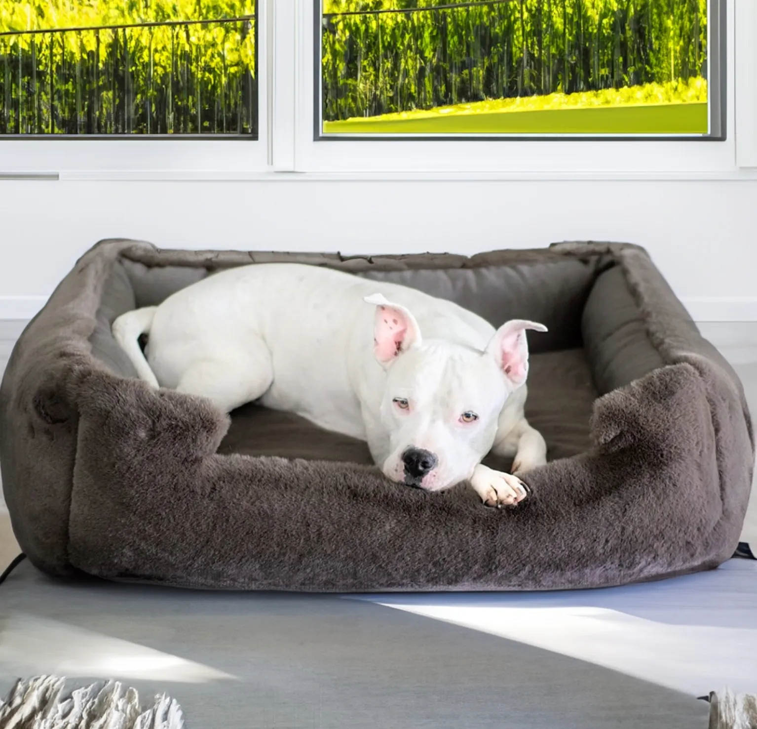 NEW: Ruby Puff® Ortho Lounger Companion-Pedic® Luxury Dog Bed